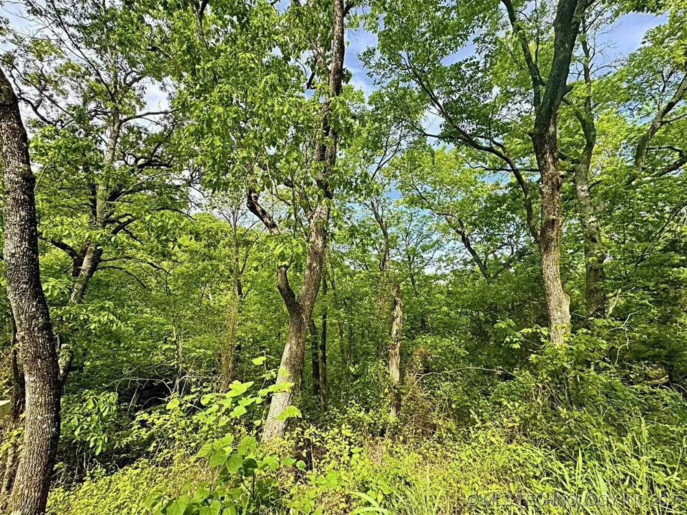 S 4507 ROAD Vian, OK 74962
