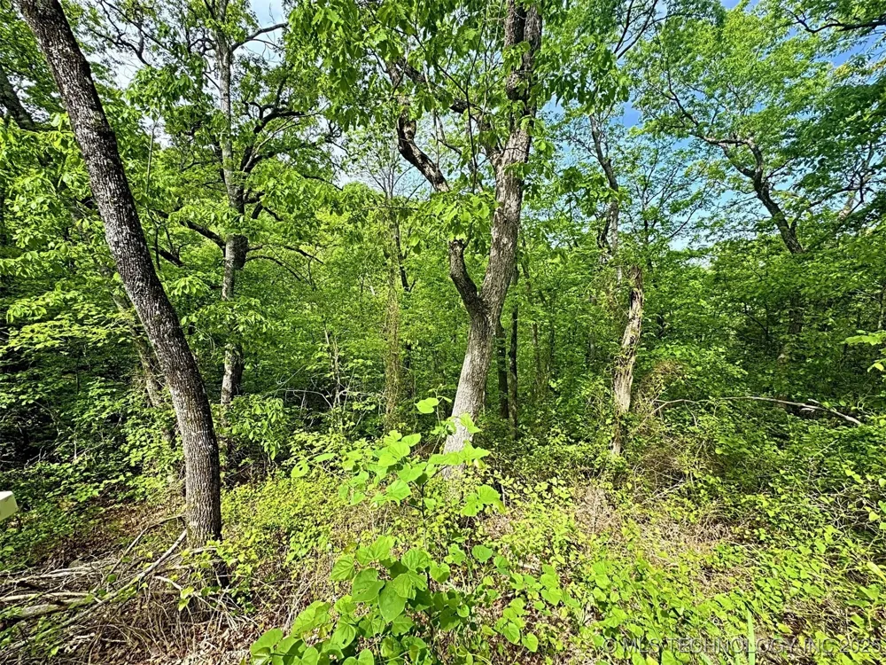 S 4507 ROAD Vian, OK 74962