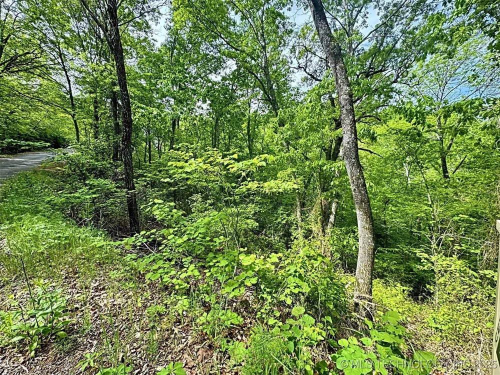 S 4507 ROAD Vian, OK 74962