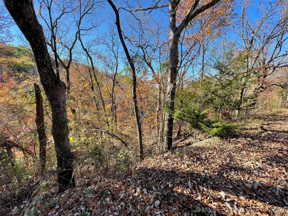 S 4507 ROAD Vian, OK 74962