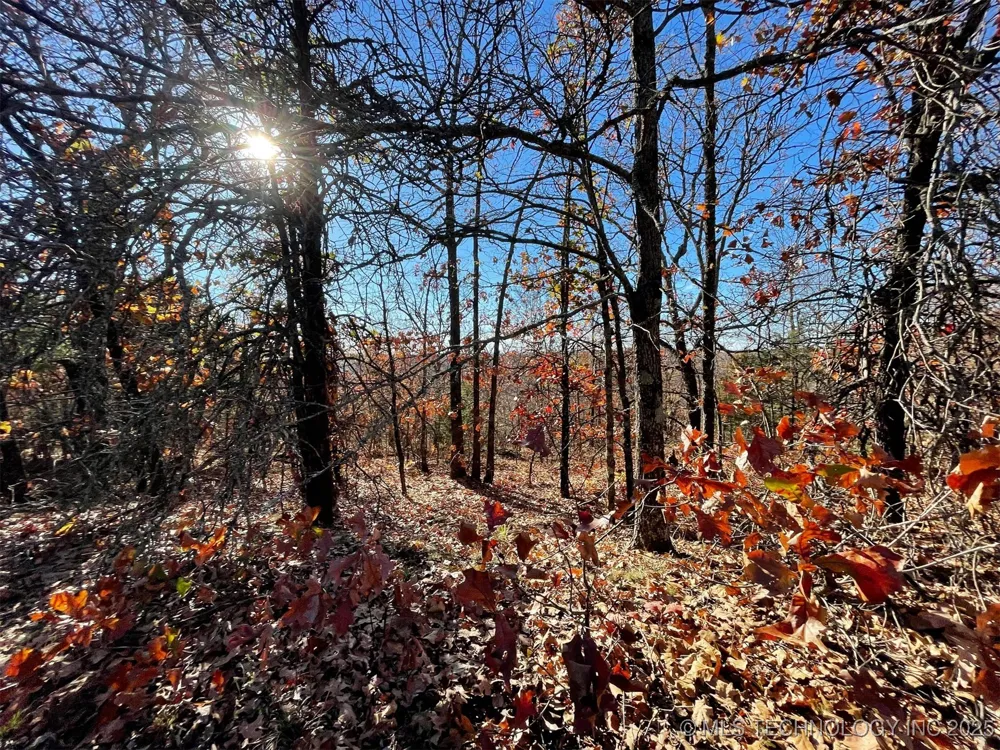 S 4507 ROAD Vian, OK 74962