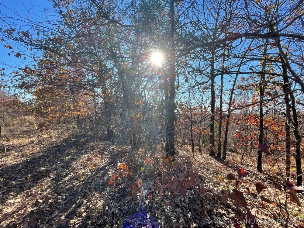 S 4507 ROAD Vian, OK 74962