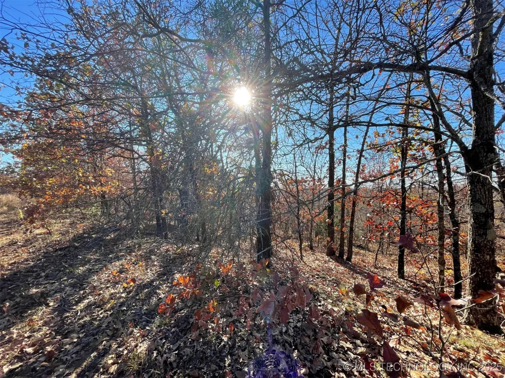 S 4507 ROAD Vian, OK 74962