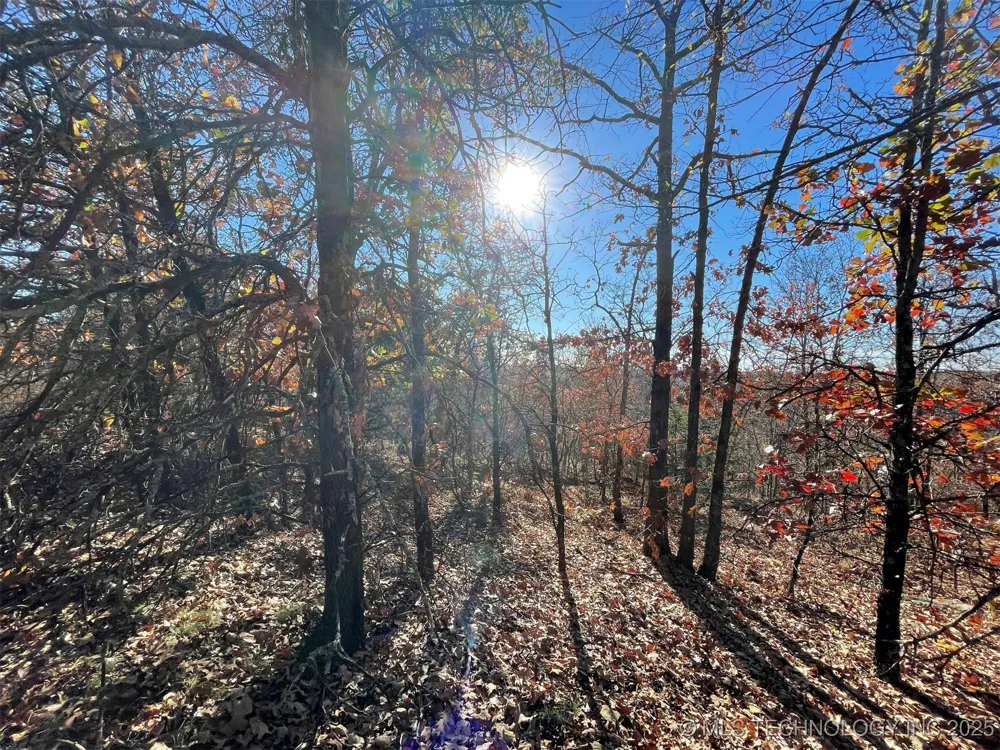 S 4507 ROAD Vian, OK 74962