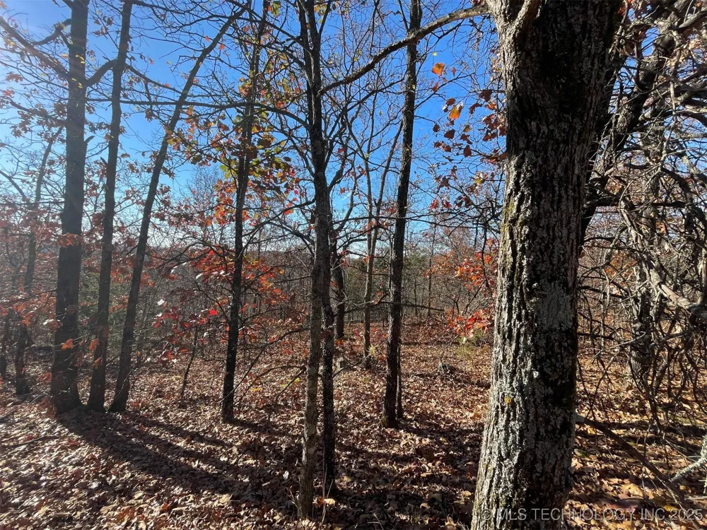 S 4507 ROAD Vian, OK 74962