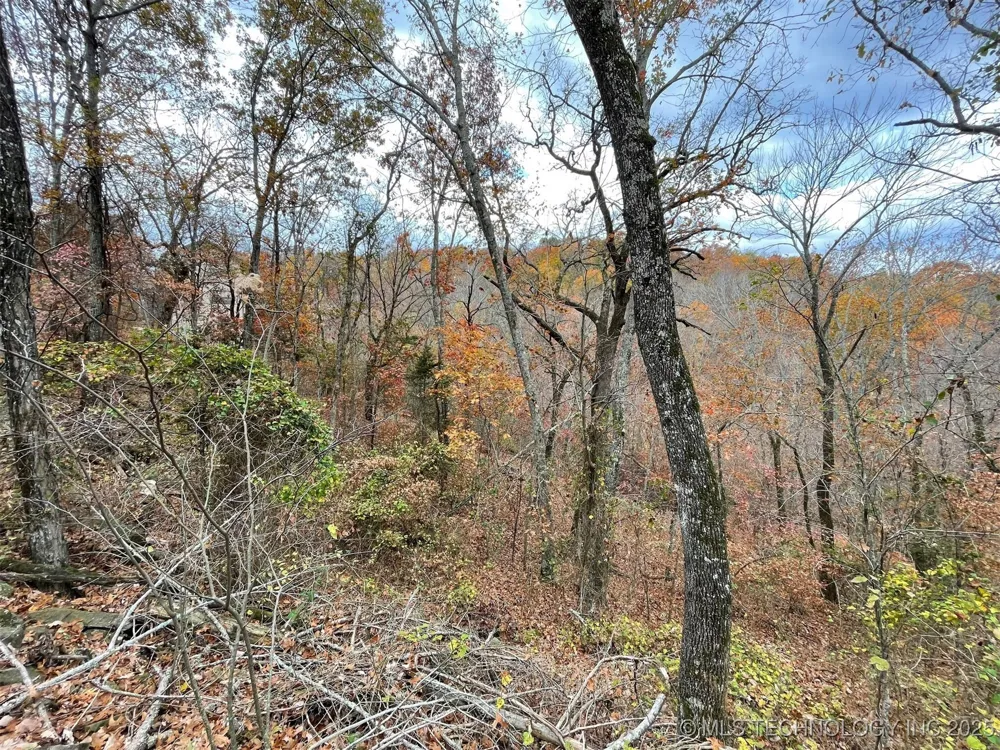 S 4507 ROAD Vian, OK 74962