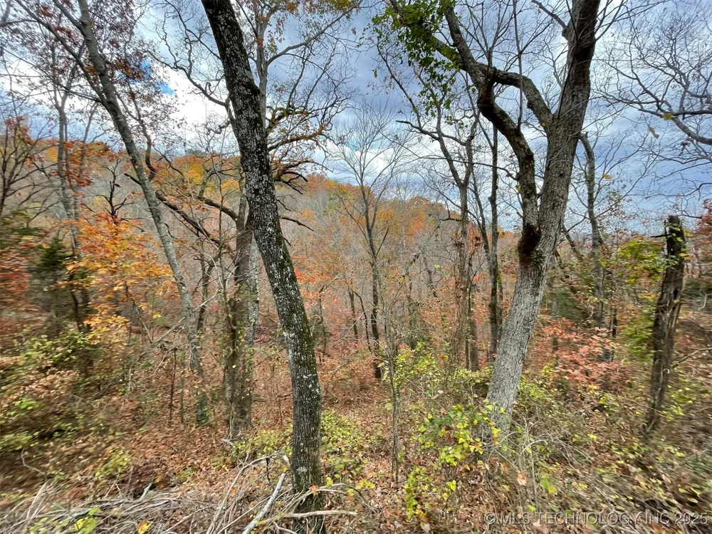 S 4507 ROAD Vian, OK 74962