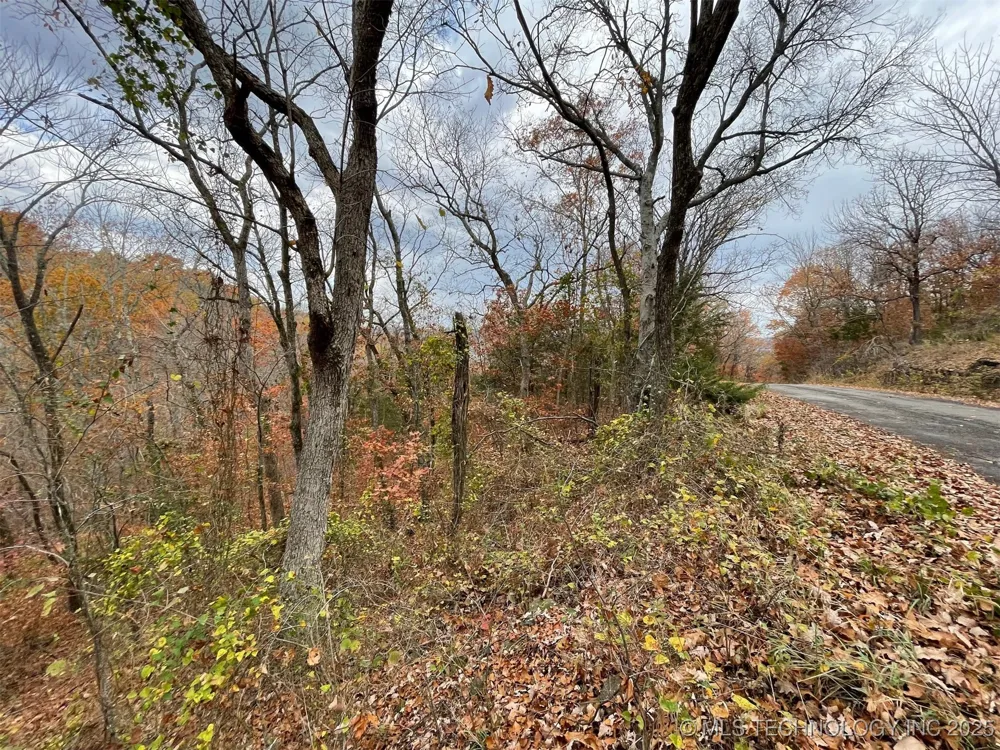 S 4507 ROAD Vian, OK 74962