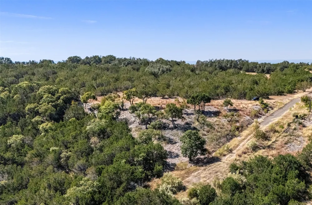 196 Canyon Ridge Court Bertram, TX 78605