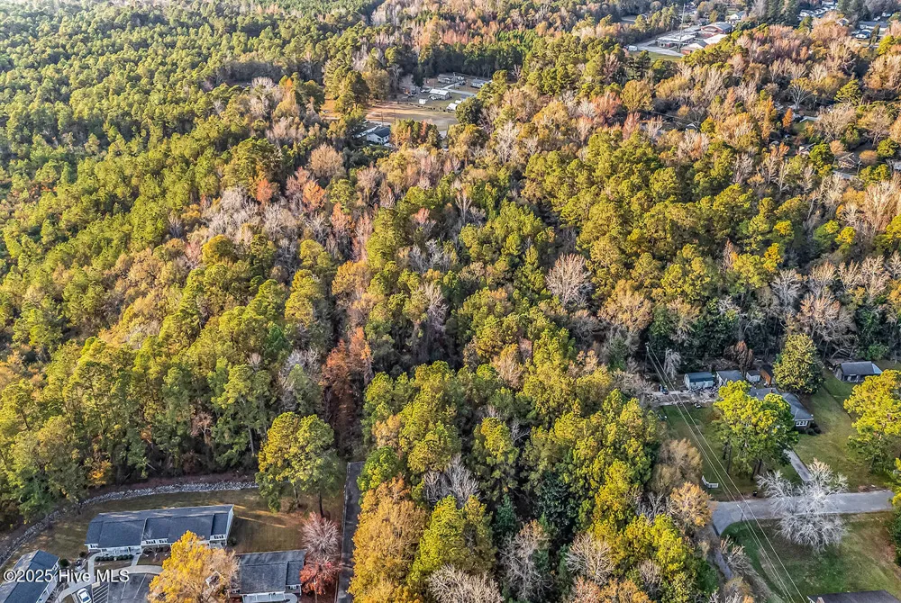 0 Woodrow Street Tabor City, NC 28463