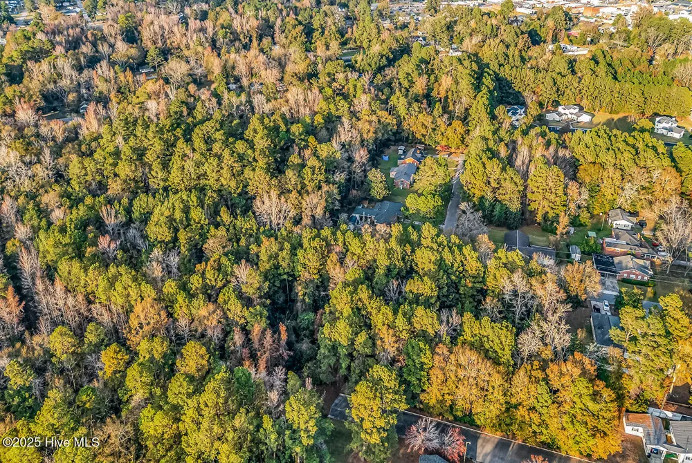 0 Woodrow Street Tabor City, NC 28463