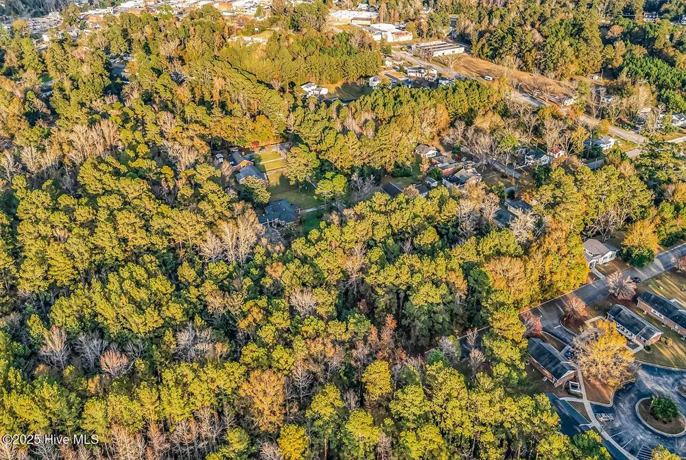 0 Woodrow Street Tabor City, NC 28463