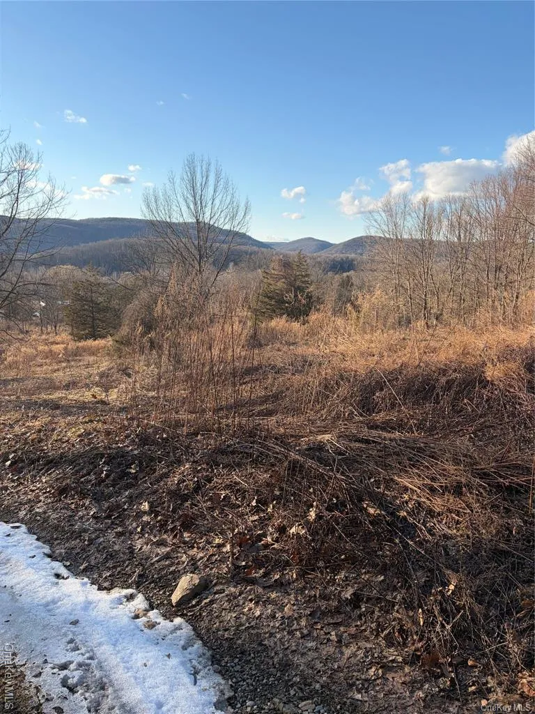 80 Hunter Lane Wassaic, NY 12592