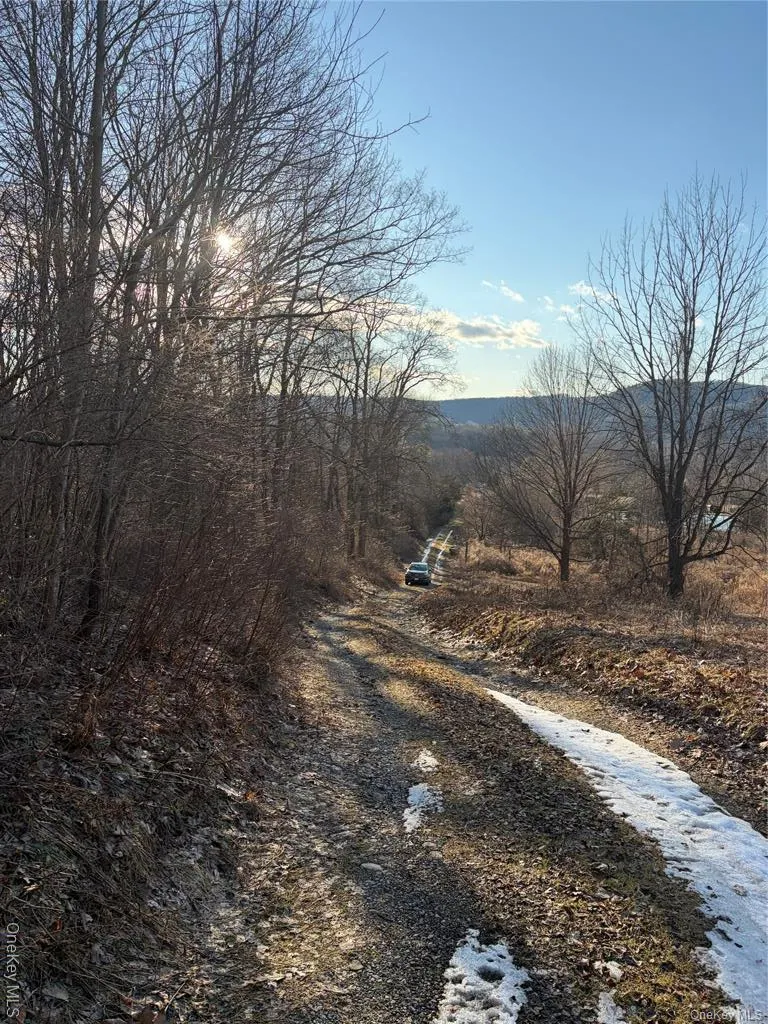 80 Hunter Lane Wassaic, NY 12592