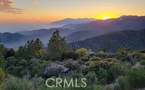 1894 Arrow Bear Park Running Springs, CA 92382