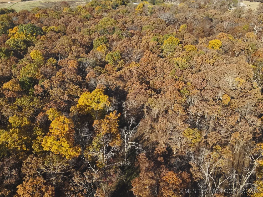 W 4290 ROAD W Chelsea, OK 74016