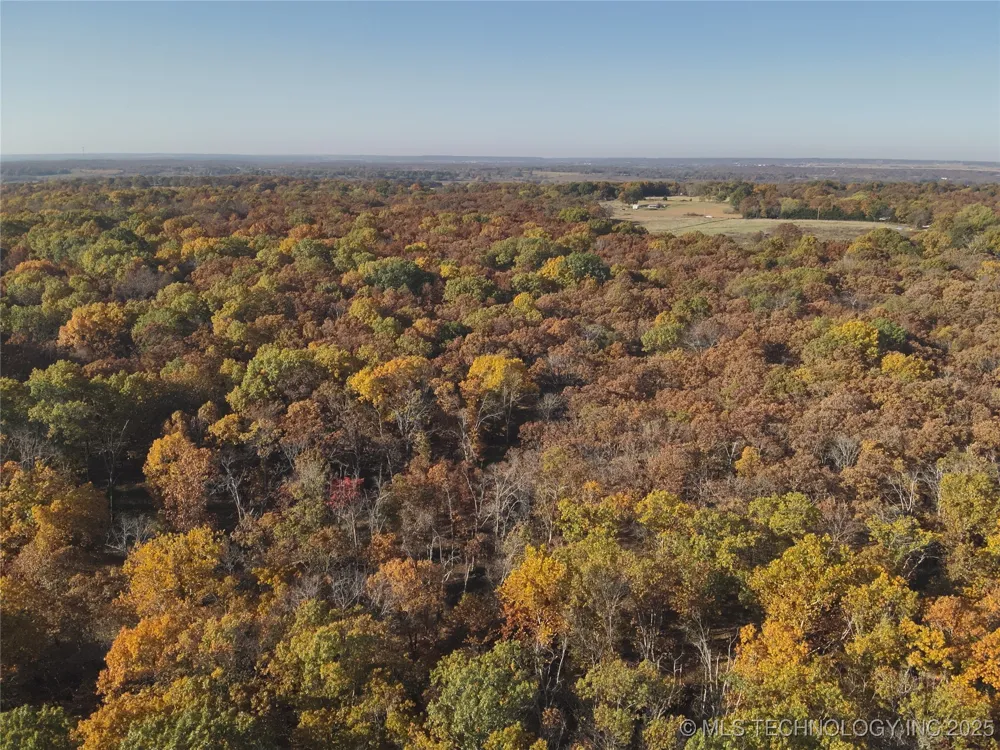 W 4290 ROAD W Chelsea, OK 74016