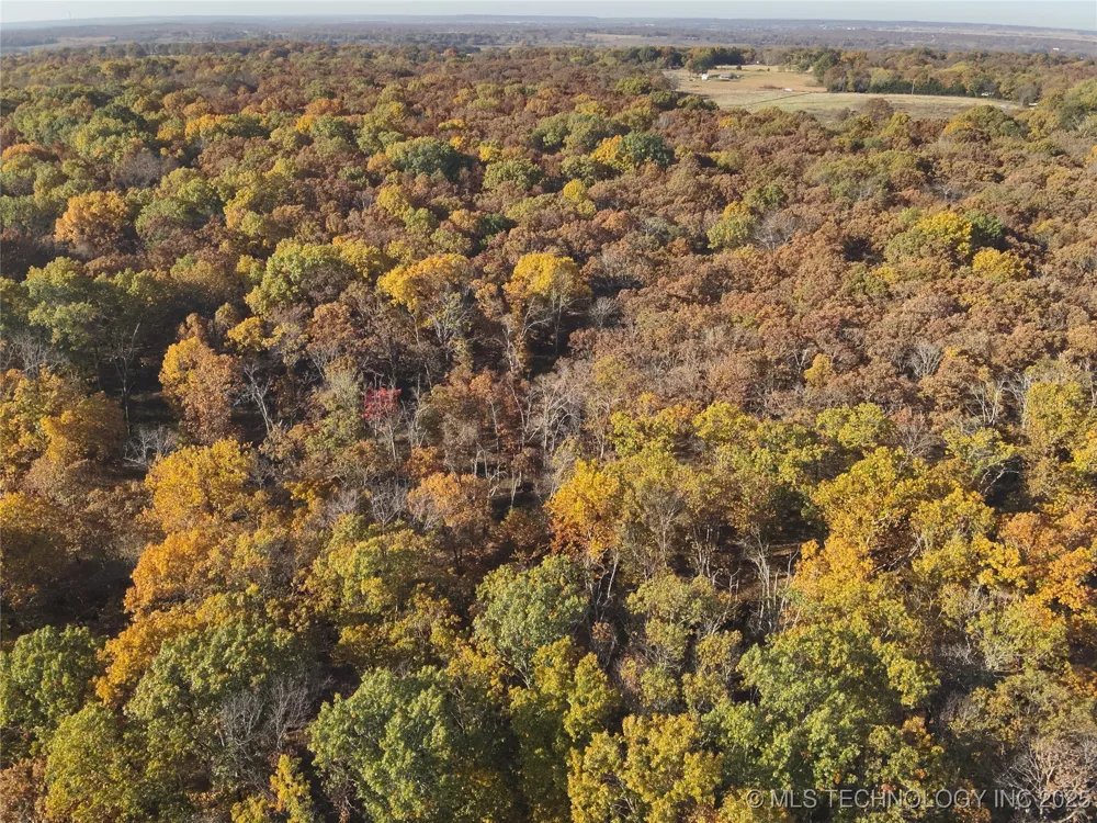 W 4290 ROAD W Chelsea, OK 74016