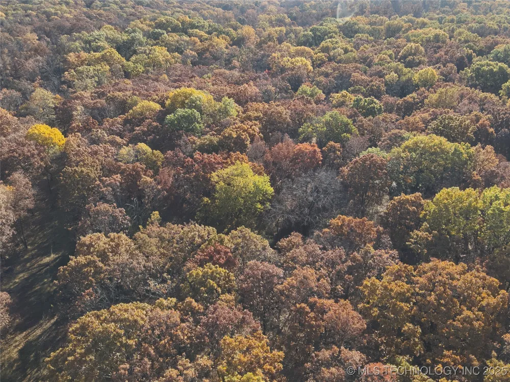 W 4290 ROAD W Chelsea, OK 74016