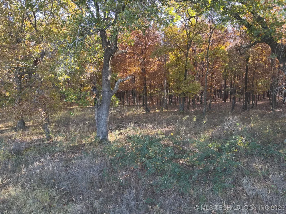 W 4290 ROAD W Chelsea, OK 74016