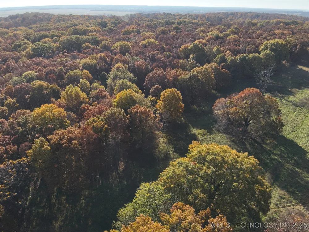 W 4290 ROAD W Chelsea, OK 74016