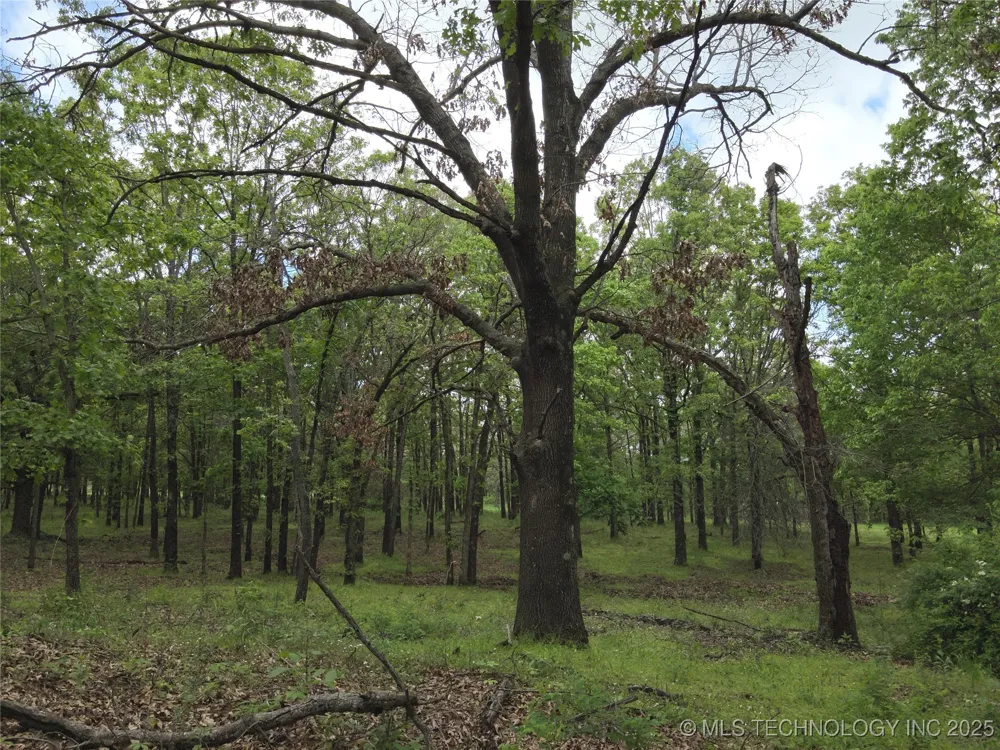 W 4290 ROAD W Chelsea, OK 74016