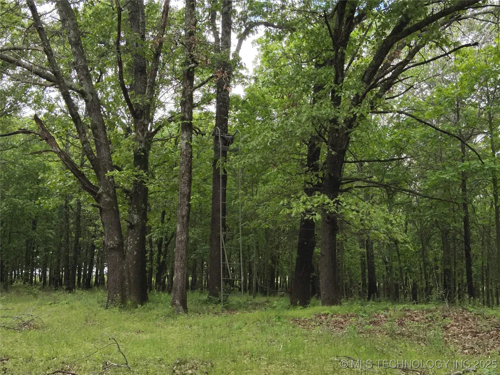 W 4290 ROAD W Chelsea, OK 74016