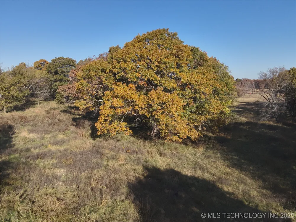 W 4290 ROAD W Chelsea, OK 74016