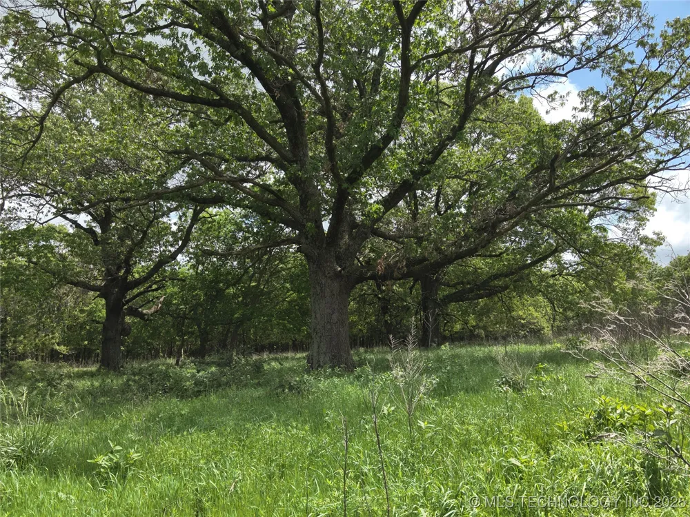 W 4290 ROAD W Chelsea, OK 74016