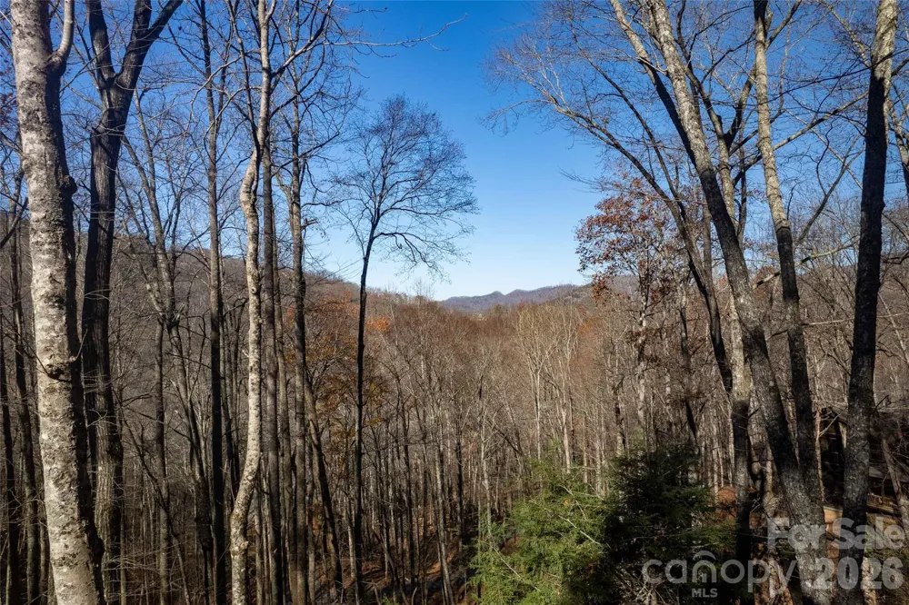 126 Mossycup Court Tuckasegee, NC 28783