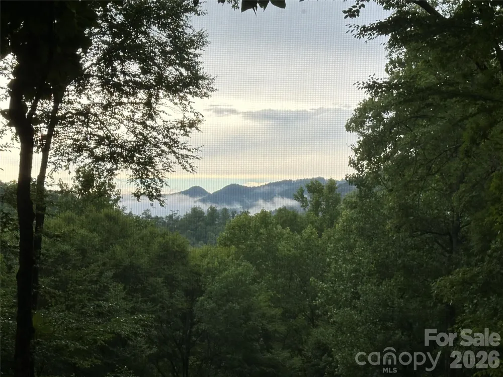 126 Mossycup Court Tuckasegee, NC 28783