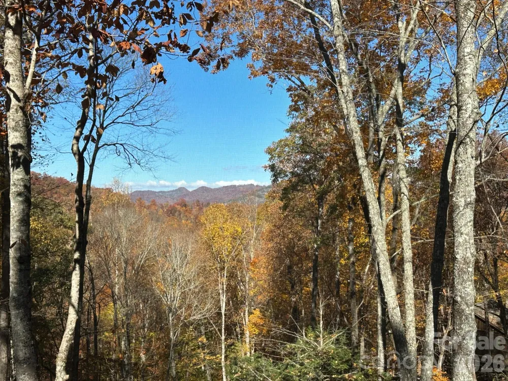 126 Mossycup Court Tuckasegee, NC 28783