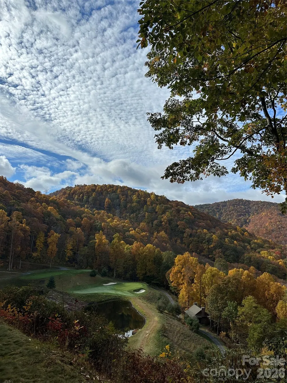 126 Mossycup Court Tuckasegee, NC 28783