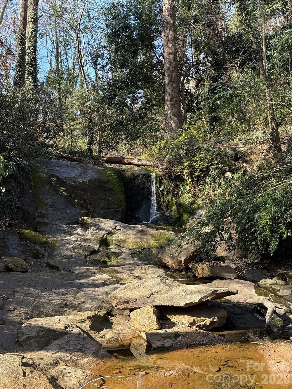 126 Mossycup Court Tuckasegee, NC 28783