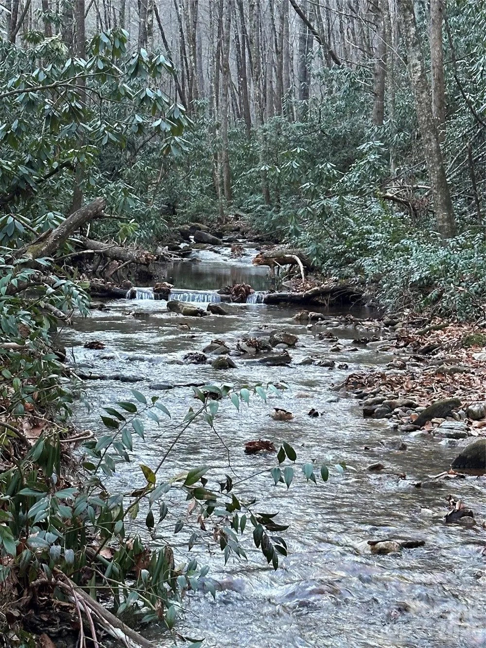 126 Mossycup Court Tuckasegee, NC 28783