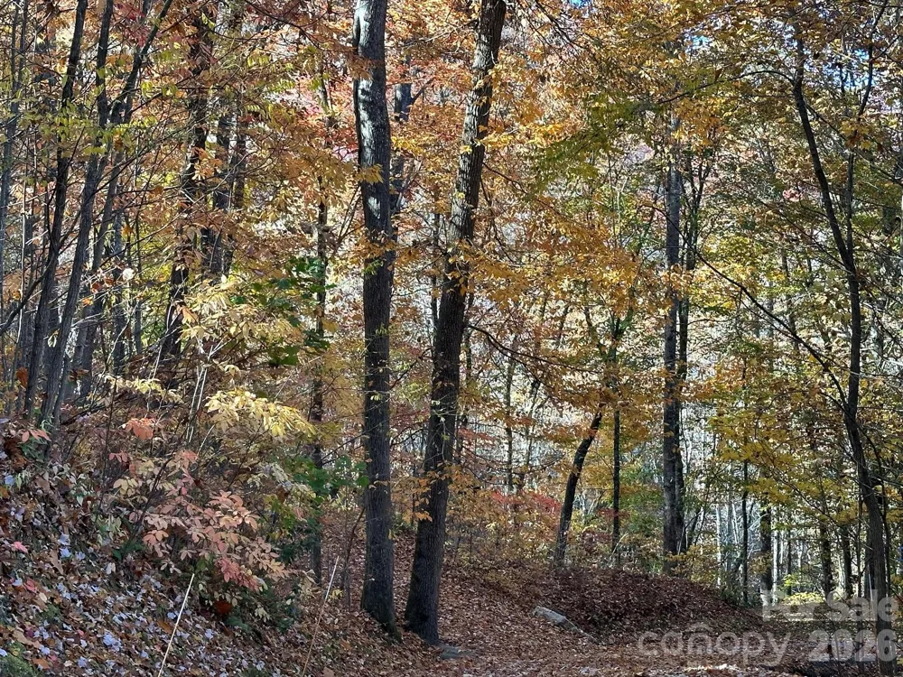 126 Mossycup Court Tuckasegee, NC 28783