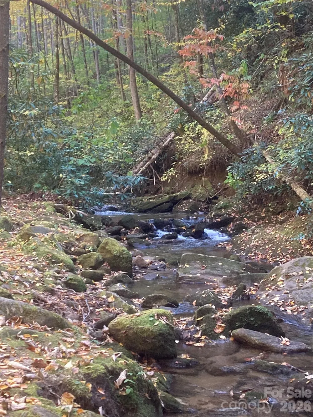 126 Mossycup Court Tuckasegee, NC 28783