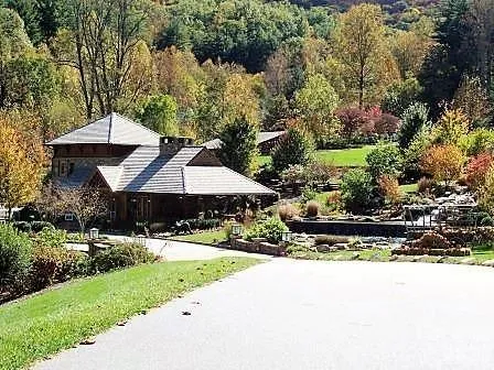 126 Mossycup Court Tuckasegee, NC 28783