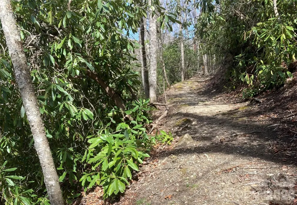 126 Mossycup Court Tuckasegee, NC 28783