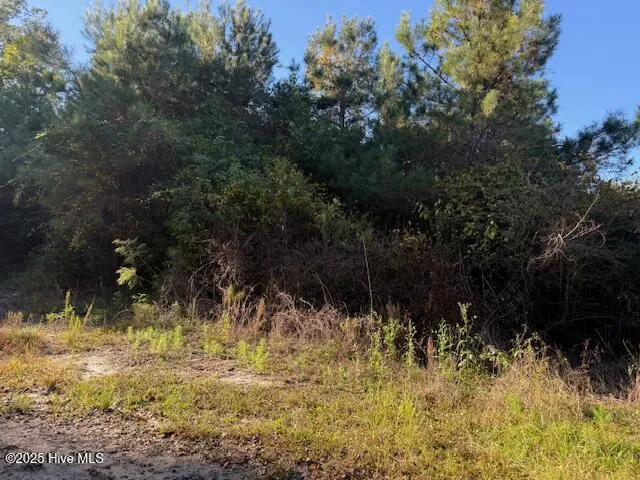 0 Knight Way SE Winnabow, NC 28479