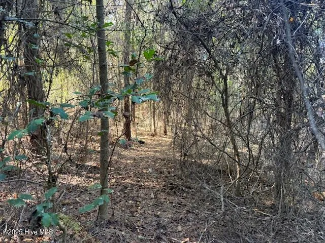 0 Knight Way SE Winnabow, NC 28479