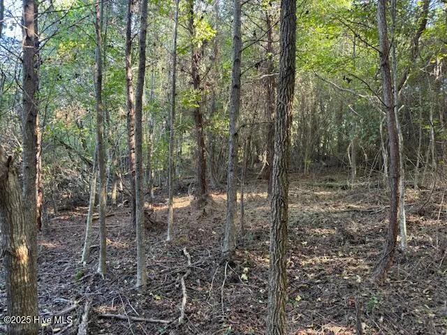 0 Knight Way SE Winnabow, NC 28479