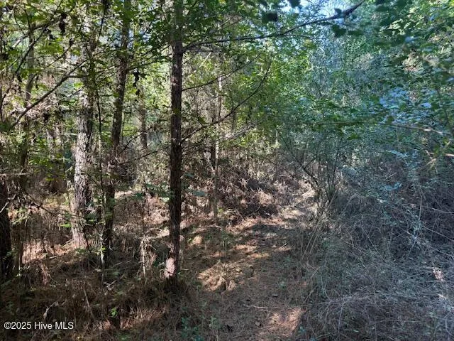 0 Knight Way SE Winnabow, NC 28479
