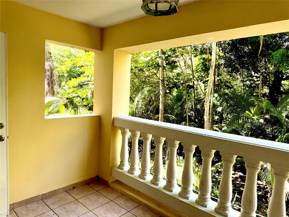 429 KM 1.2 #220 Rincon, PR 00677