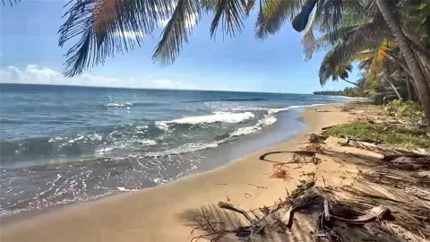 BEACH FRONT PUNTA GUILARTE