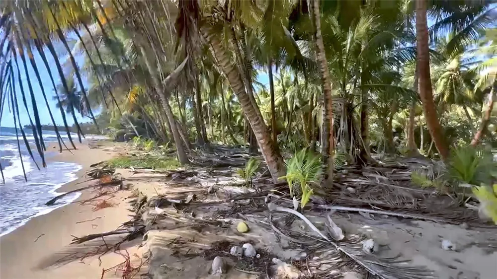 BEACH FRONT PUNTA GUILARTE Arroyo, PR 00714