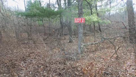 Lot 2 Ferry Rd