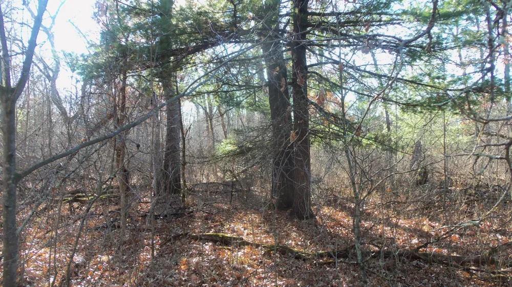 Lot 2 Ferry Rd Grantsburg, WI 54840