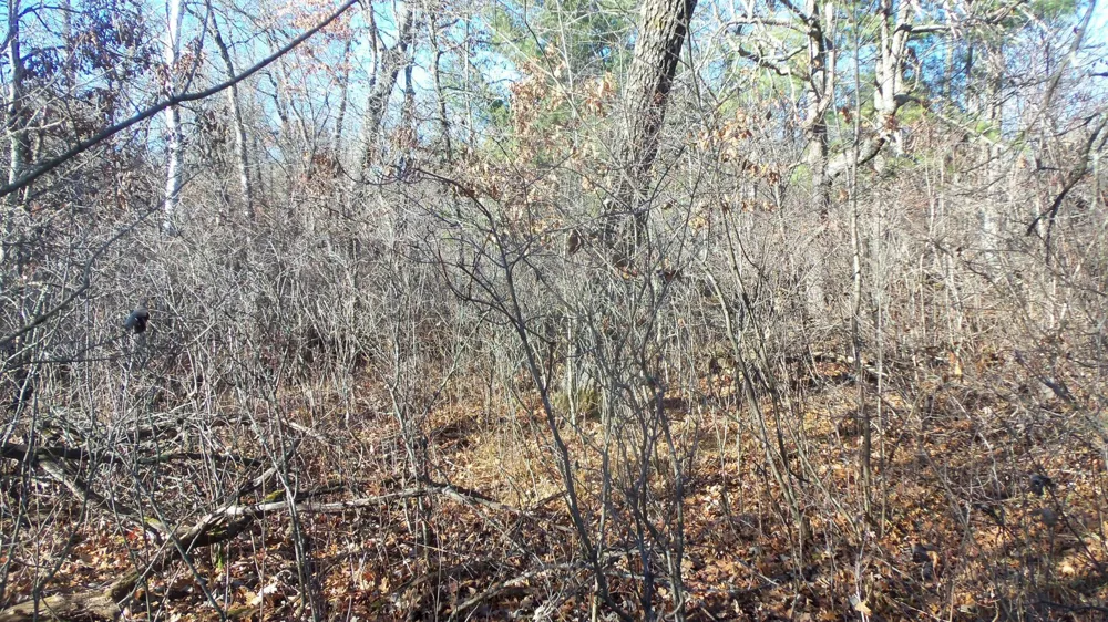 Lot 2 Ferry Rd Grantsburg, WI 54840