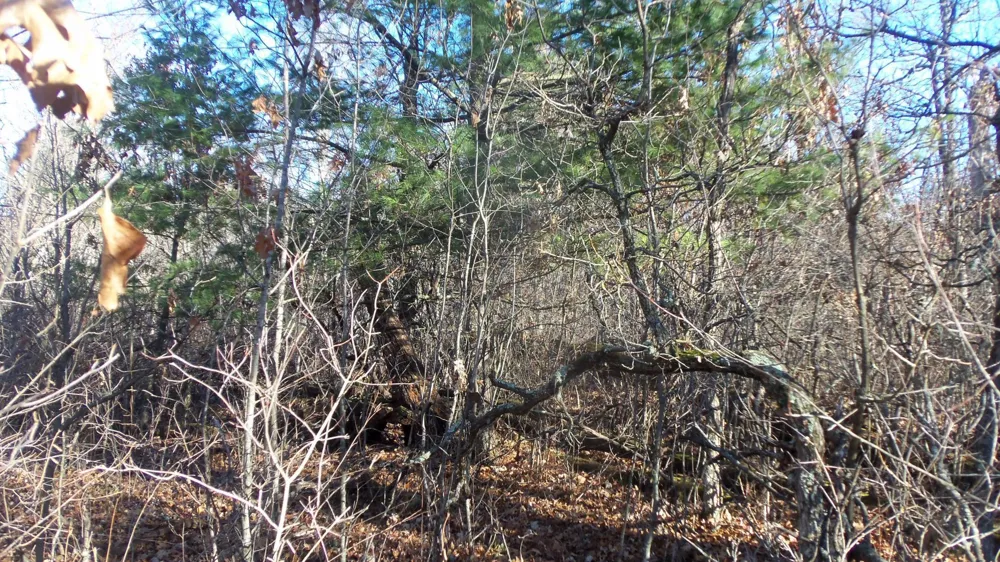 Lot 2 Ferry Rd Grantsburg, WI 54840